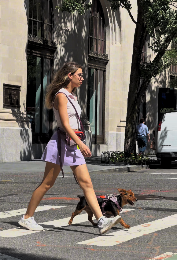 City Stroll