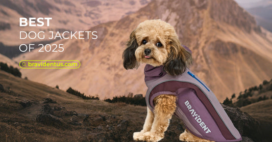 Bravident Redefines Outdoor Style for Dogs and Their Owners with the DriftShell™ Jacket