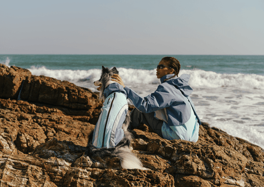 For the Dog Lover Who Loves to Explore: A Holiday Gift of Shared Adventure