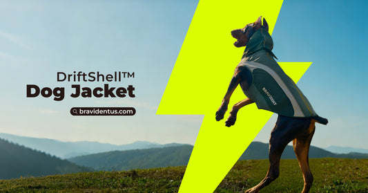 Leading Pet Lifestyle Brand Bravident Captures the Feel of Fall and Winter Adventure with the Innovative Outdoor Dog Jacket DriftShell™
