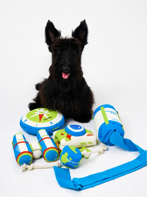 Brave Explorer™ Dog Toy Set