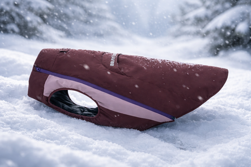 All-Weather Protection