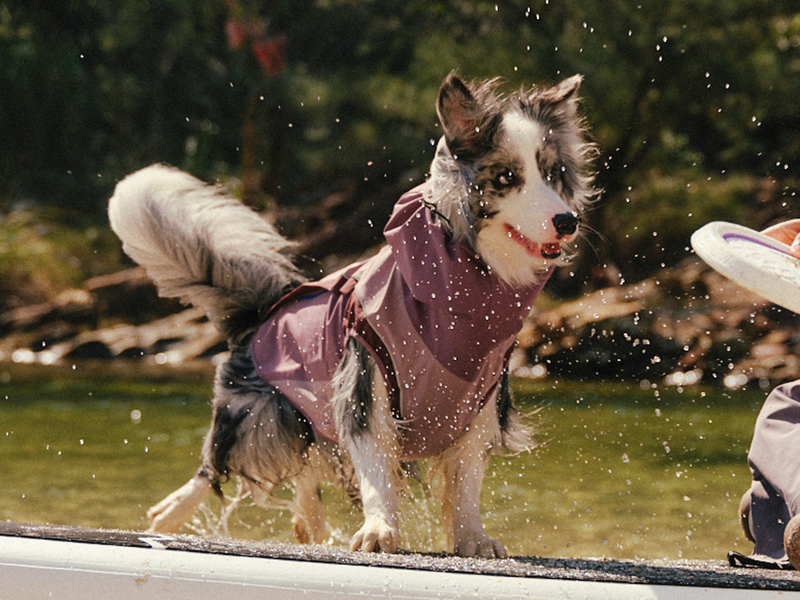 All-Weather Protection