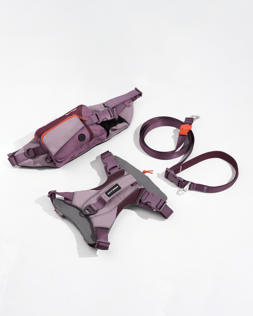 Walk Adventure Kit