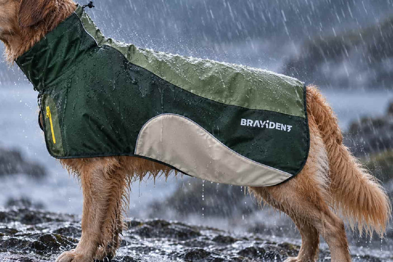 Lightweight Rain Protection