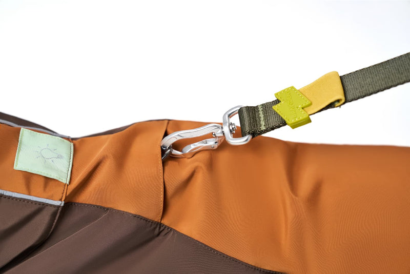 Harness-Compatible Leash Opening