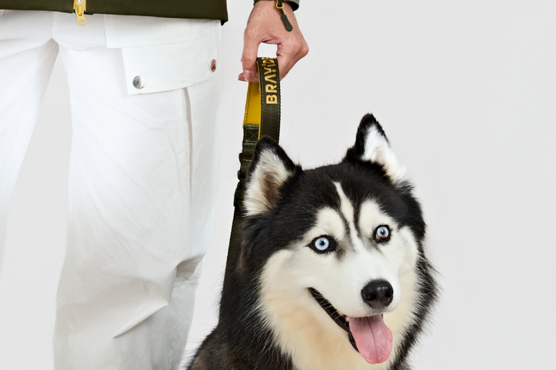 Neoprene Comfort Handle