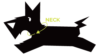 Measurement diagram