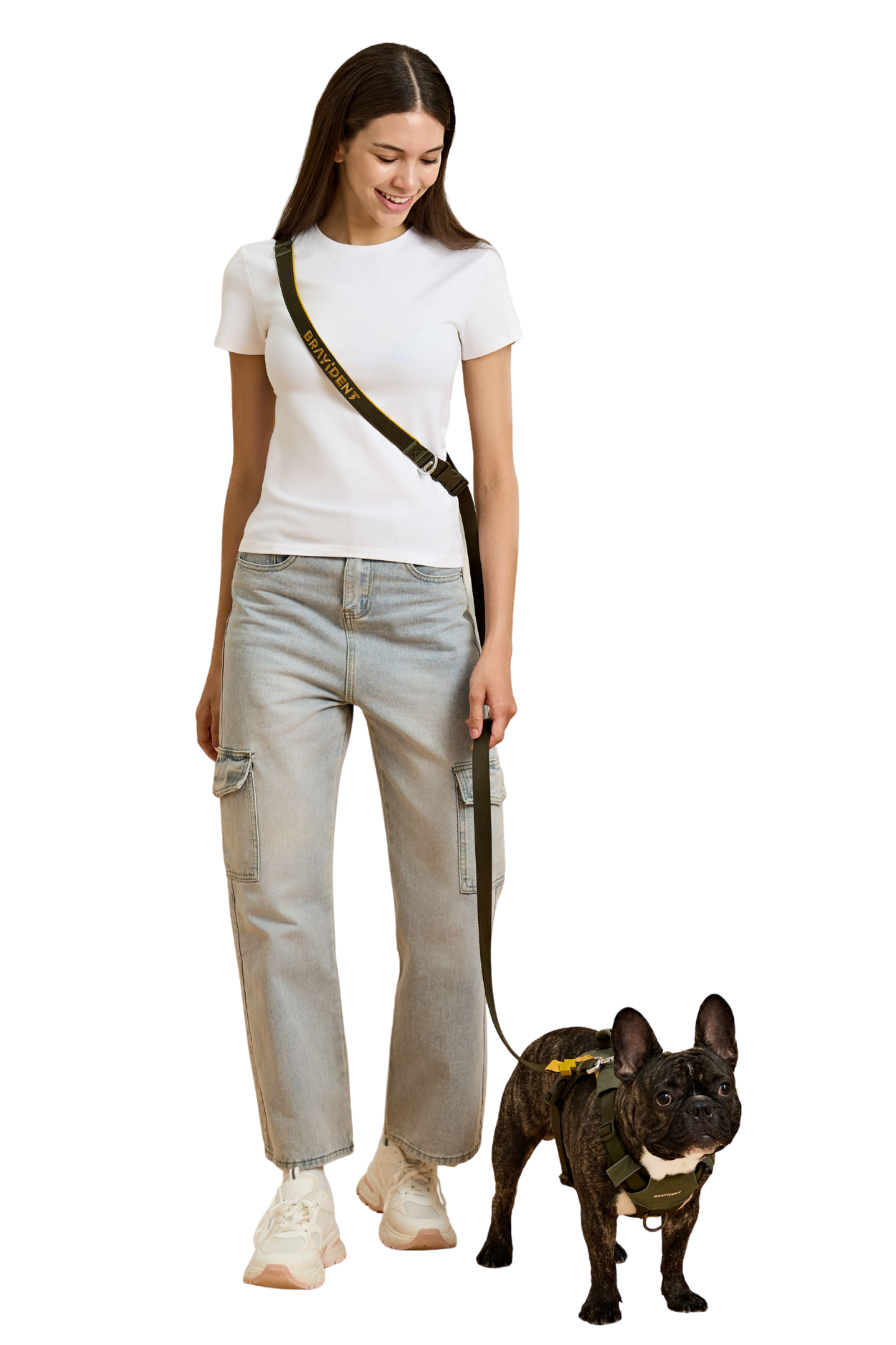 Dog wearing jacket