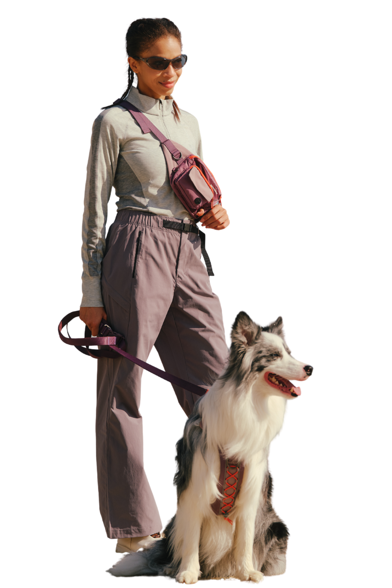 Dog wearing jacket