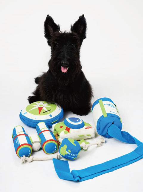 Brave Explorer Dog Toy