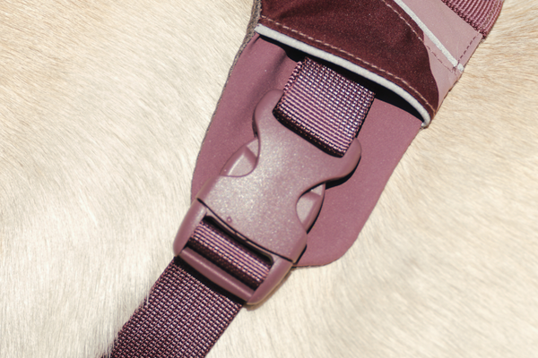 High-Strength Buckle