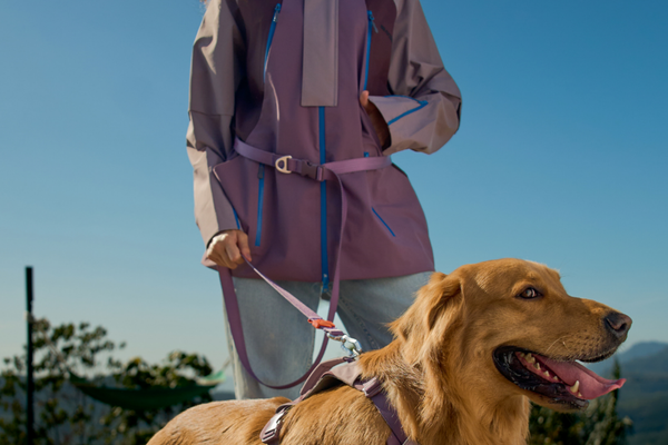 Hands-Free Carry Comfort