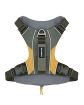 BraveStride™ Dog Harness