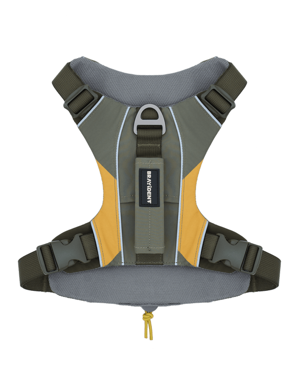 BraveStride™ Dog Harness