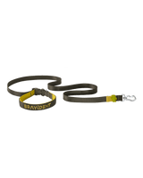 BraveStride™ Dog Leash