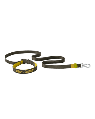 BraveStride™ Dog Leash