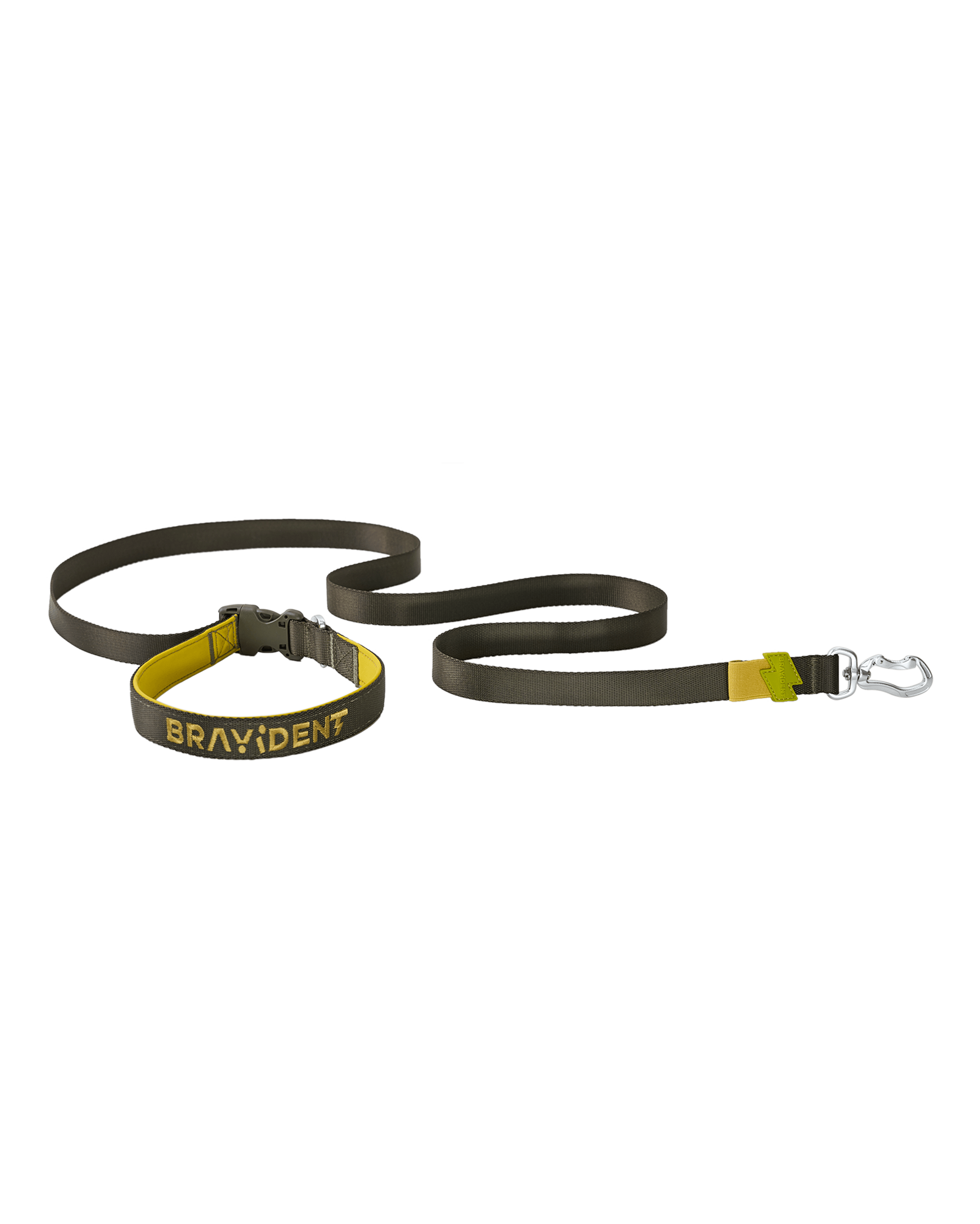 BraveStride™ Dog Leash