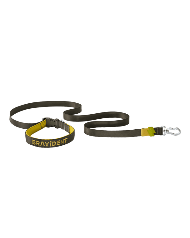 BraveStride™ Dog Leash