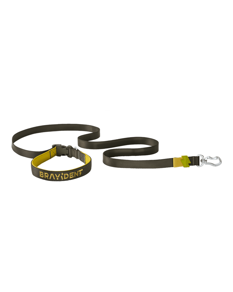 BraveStride™ Dog Leash
