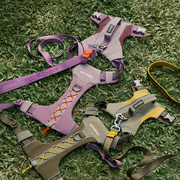 Outdoor Harness & Walk Kits