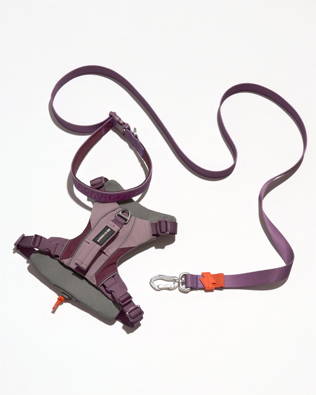 Harness Walk Kit