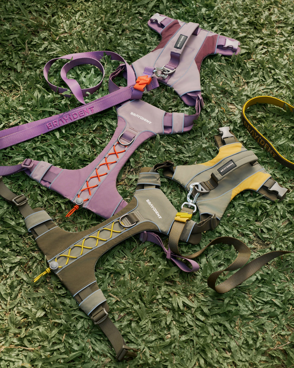 Harness Walk Kit