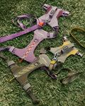 Harness Walk Kit