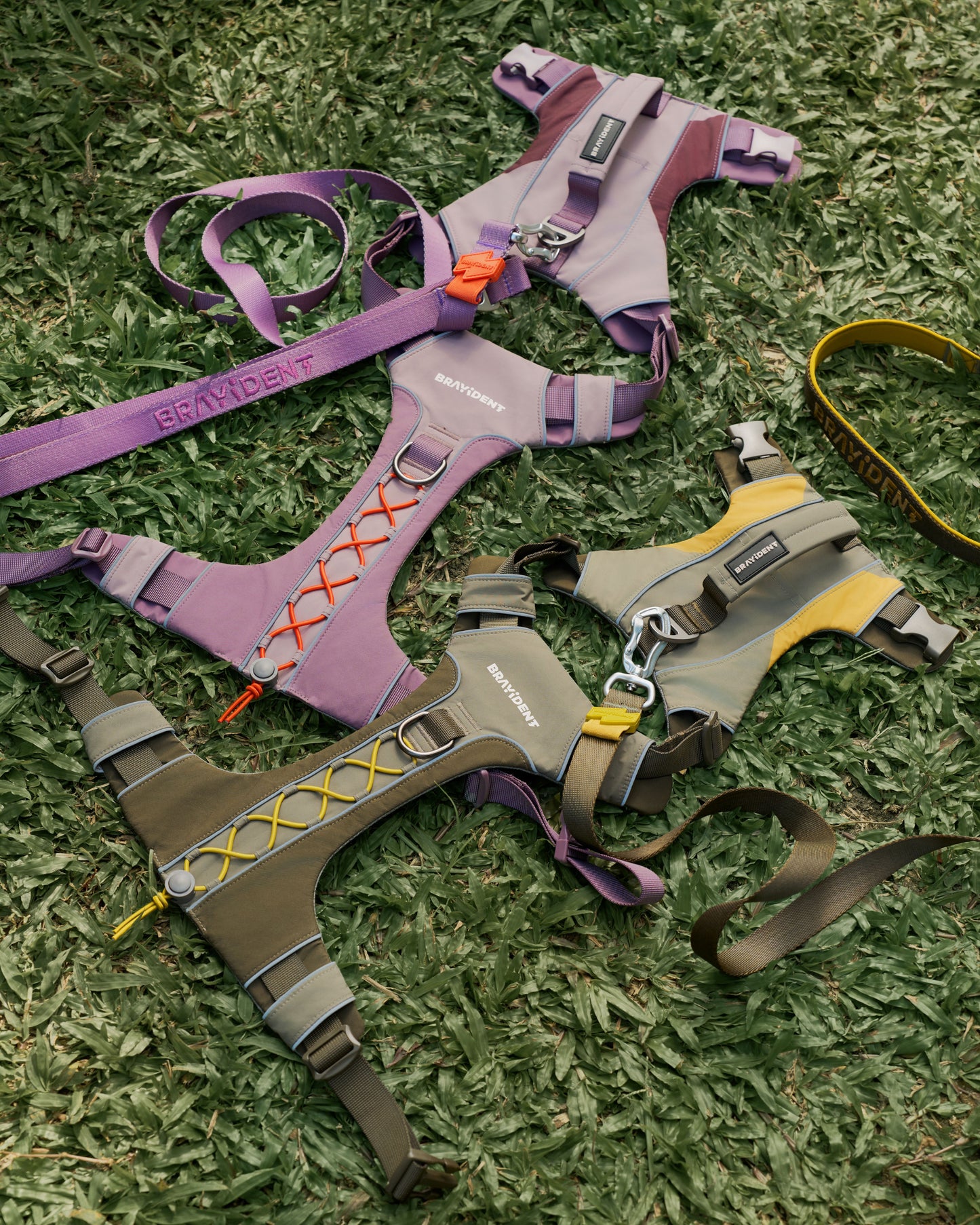 Walk Adventure Kit