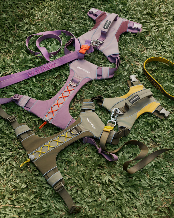 Harness Walk Kit