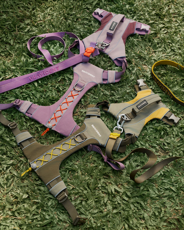 Harness Walk Kit