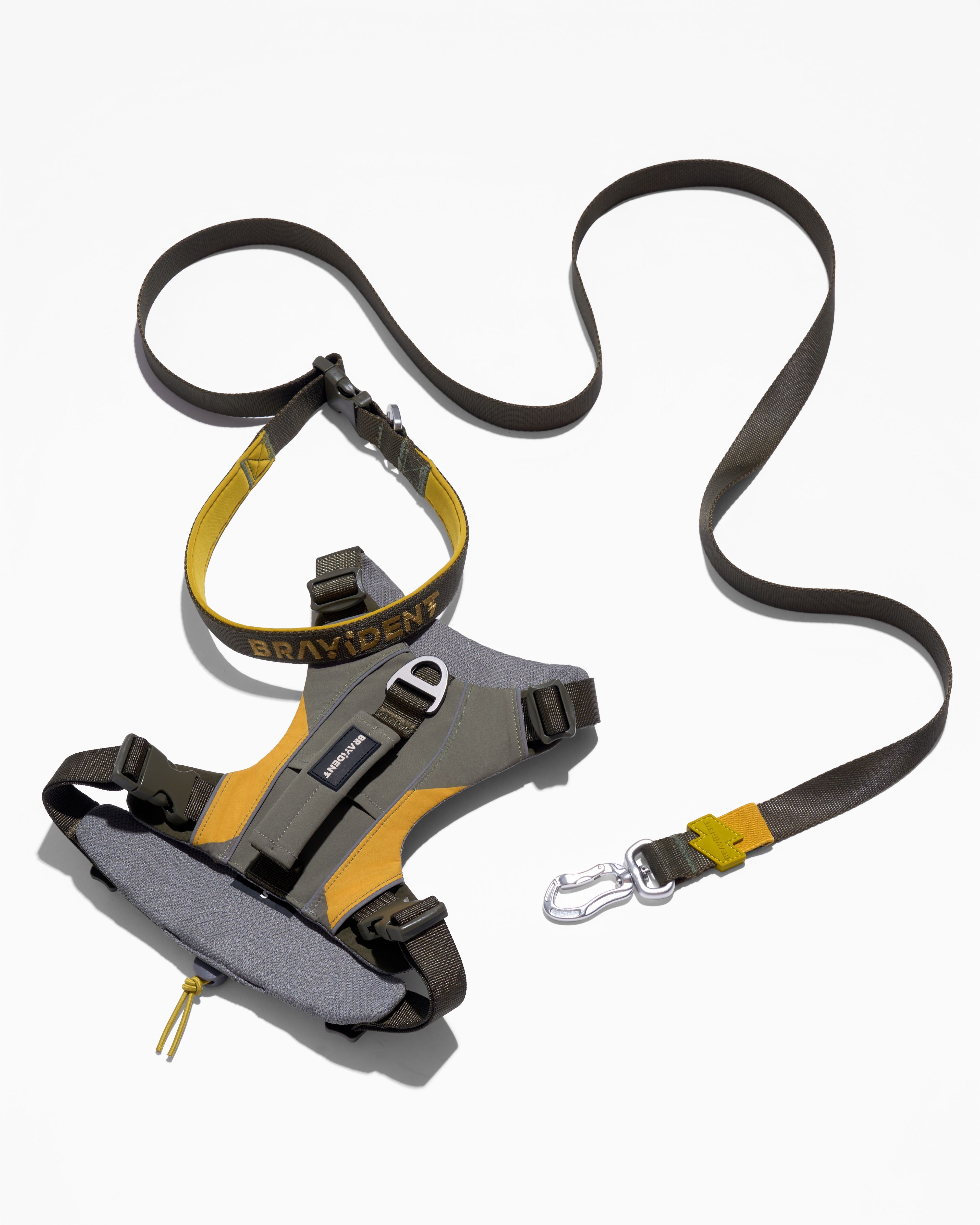 Harness Walk Kit