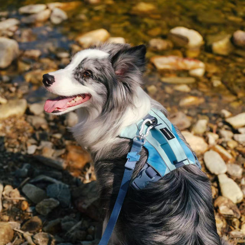Comfort Harness