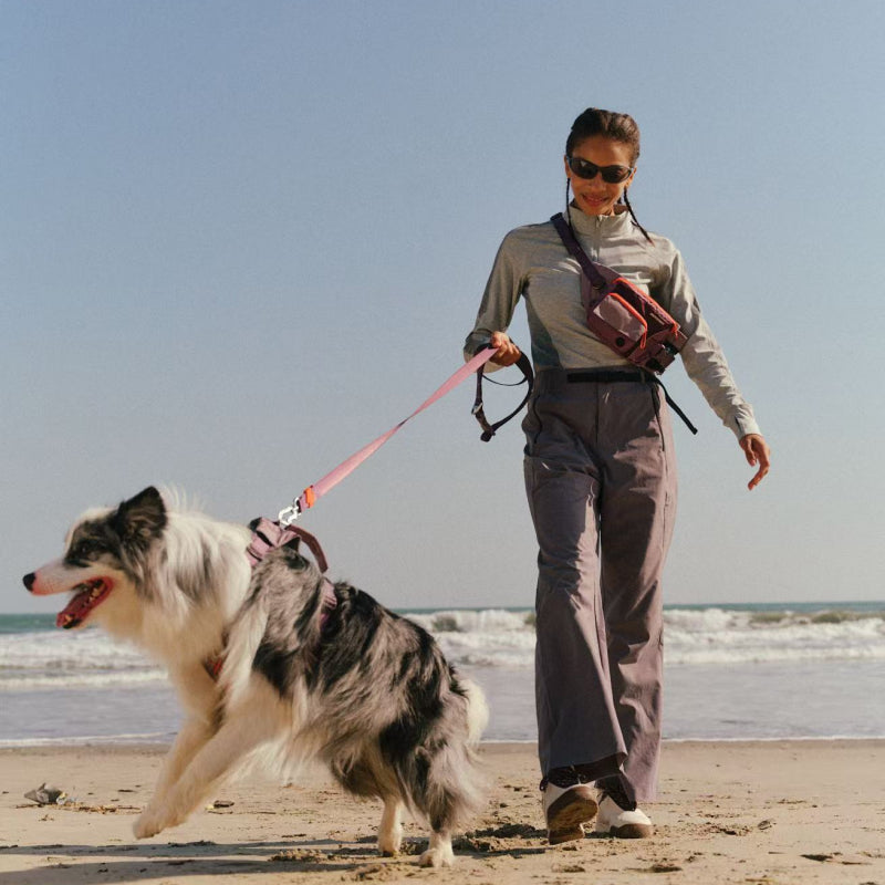 Multi-Function Leash
