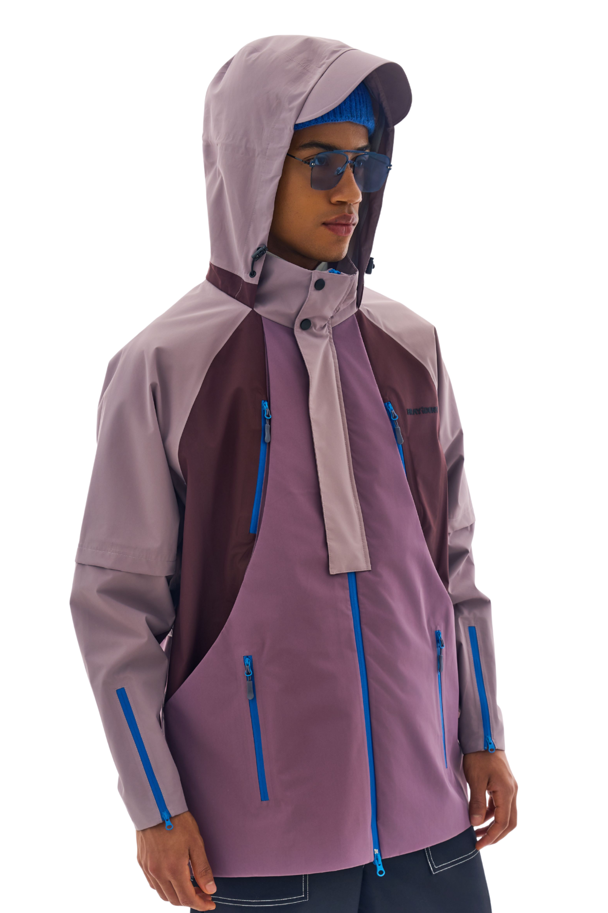 Dog wearing jacket