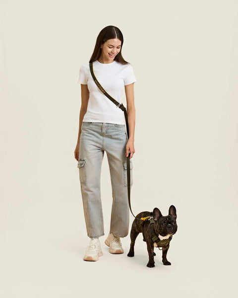 Bravestride Dog Leash