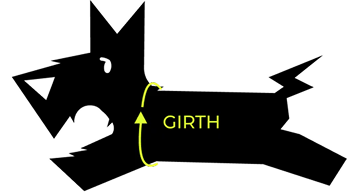 Measurement diagram