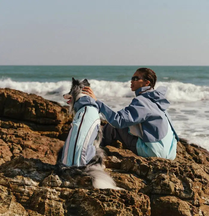 We're Inviting Creators And Pet Lovers Who: