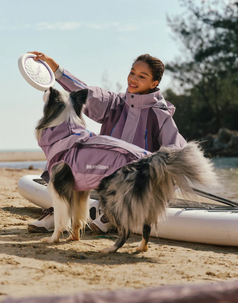 We're Inviting Creators And Pet Lovers Who:
